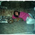 Kis tigris donnertmarta